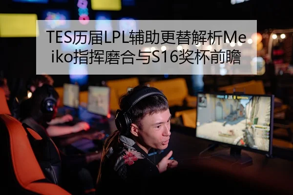TES历届LPL辅助更替解析Meiko指挥磨合与S16奖杯前瞻